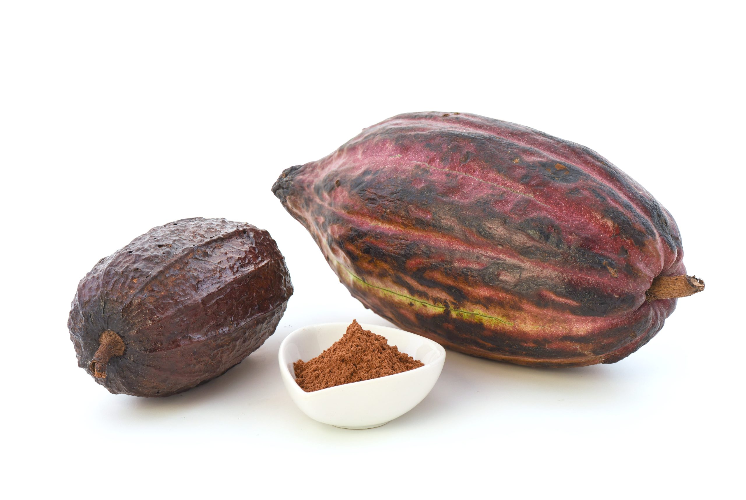 Cacao Extract