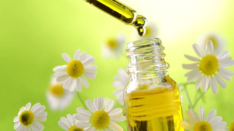 Chamomile Extract